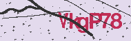 Captcha認証コード